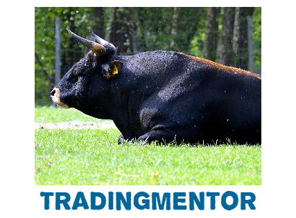 (c) Tradingmentor.info